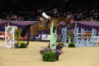 Joe Clayton and Millioninmind Shine in the Speedi-Beet HOYS Grade C Championship